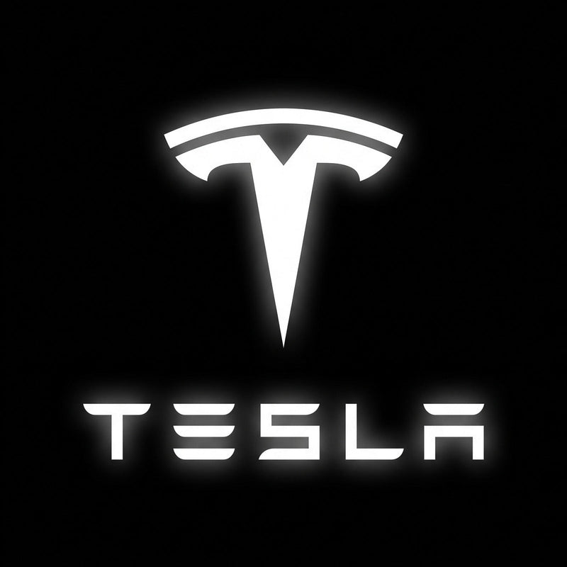 DYUHOP Tesla Model 3 Wired Welcome Light - 1 Pair