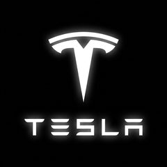 DYUHOP Tesla Model Y Wired Welcome Light - 1 Pair