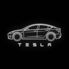 DYUHOP Tesla Model Y Wired Welcome Light - 1 Pair