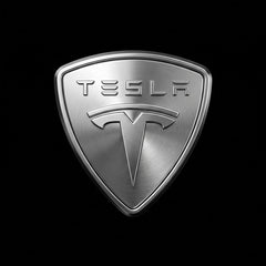 DYUHOP Tesla Model X Wired Welcome Light - 1 Pair